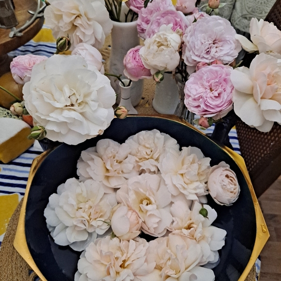 Meet your Posher, R Jewel - Picture 11 of 11